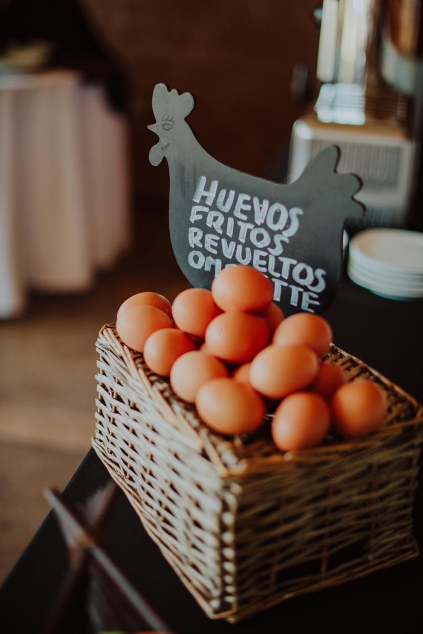 Hotel Limari Ovalle Ngoại thất bức ảnh